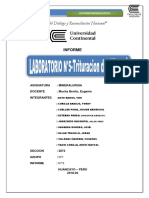 Informe de Mineralurgia 5 Final