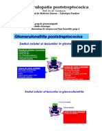 12. Glomerulopatia poststreptococica