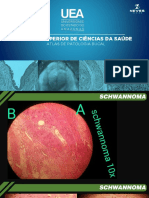 Atlas Patologia Bucal - UEA