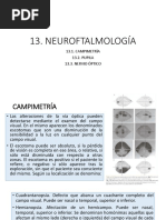 CAPITULO 13
