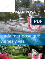 la mariposa POWER POINT.pptx