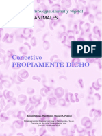 A Conectivo Propio PDF