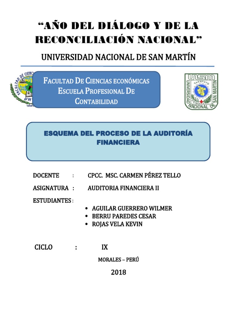 Esquema Del Proceso de La Auditoria Financiera | PDF | Auditoría ...