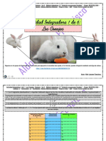 Actividad Integradora 1 de 6 - Los Conejos - Prepa en línea - SEP - G-12