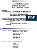 Budidaya Tanaman Semusim