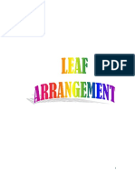 Leaf Arrangement