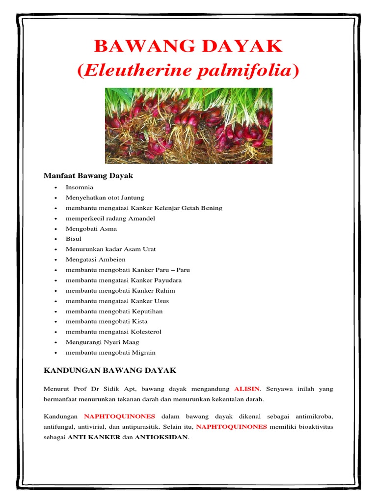 Toga Dan Toma Toga Dan Toma