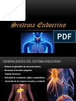 Sistema Endocrino