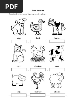 animals worksheet pdf