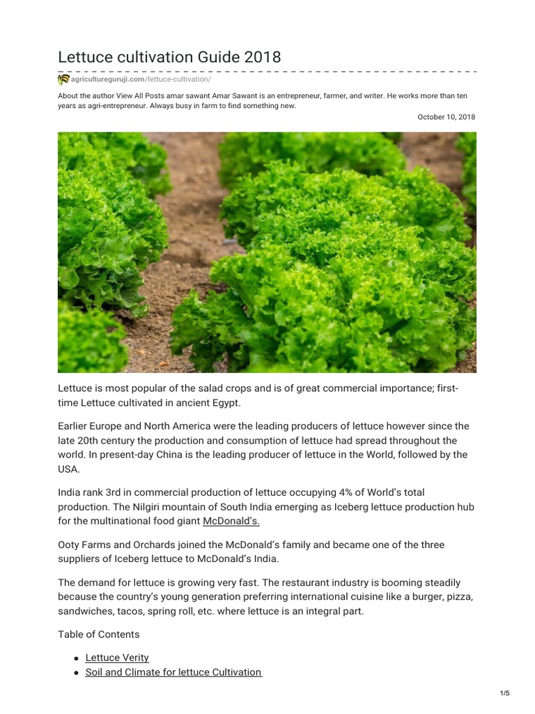 Lettuce Cultivation Guide 2018 | PDF | Lettuce | Tillage