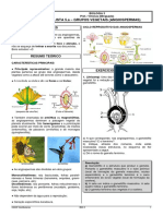 Angiospermas: características e reprodução