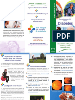 32_folleto_consejo_vivir_diabetes.pdf