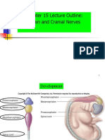 Lect.06-Brain + Cranial N