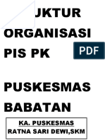 Struktur Organisasi Pis PK