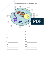 Animal Cell Structure (Print)