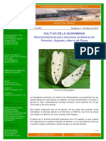 GUANABANA.pdf