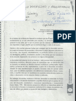 0 - Atencion A La Diversidad y Programacion Curricular PDF
