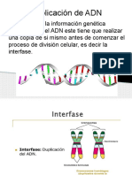 Replicación de ADN