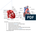 Fungsi Jantung