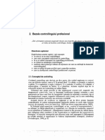 Bazele Controllingului Profesional PDF