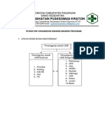 Struktur Organisasi PJ Upaya Puskesmas