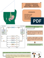 Categorizacion MINSA