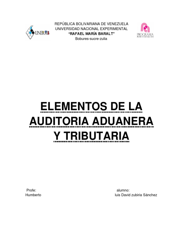 Elementos de La Auditoria Aduanera y Tributaria | PDF | Auditoría ...