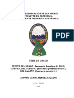 tesis de hongos.pdf