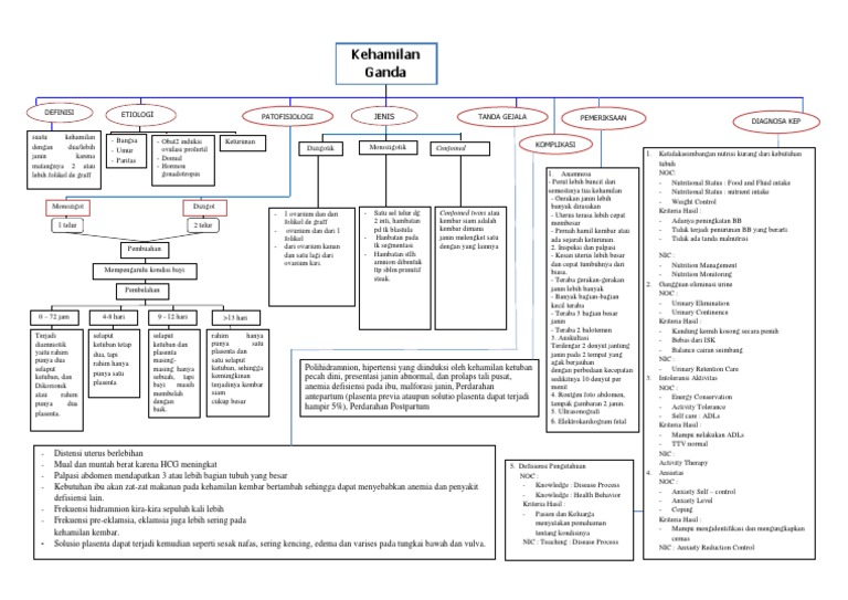 Woc Kehamilan Ganda Gemeli