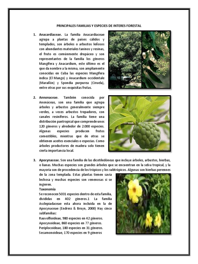 Principales Familias y Especies | PDF | Arecaceae | Arboles