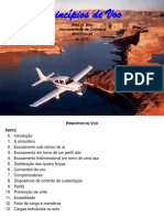 Princípios de Voo (slides).pdf