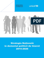 strategia nationala in domeniul politicii de tineret