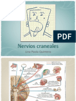 Nervios craneales (1)