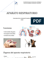 Aparato Espiratorio 2018