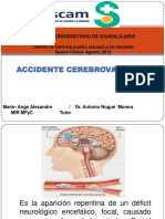 Accidente Cerebrovascular: Hospital Universitario de Guadalajara