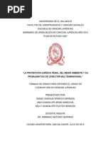 -Alonso Espinosa, David-Medidas Civiles de Protección de La Violencia de Género