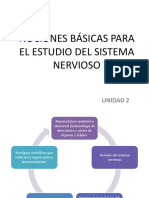 2 Nociones Básicas para El Estudio Del SN