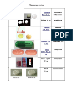 Alimentary System