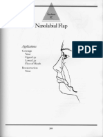 5C - Nasolabial Flap
