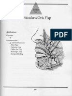 5D - Orbicularis Oris Flap