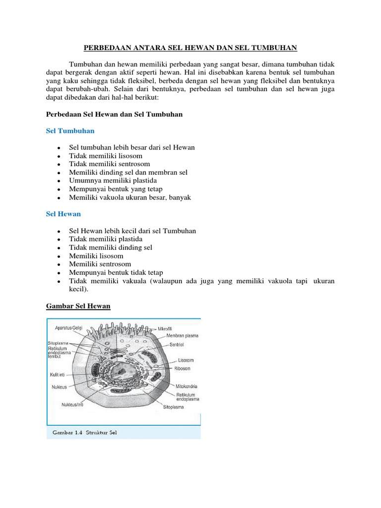85 Gambar Sel Hewan Dan Tumbuhan Beserta Keterangan Nya Terbaik
