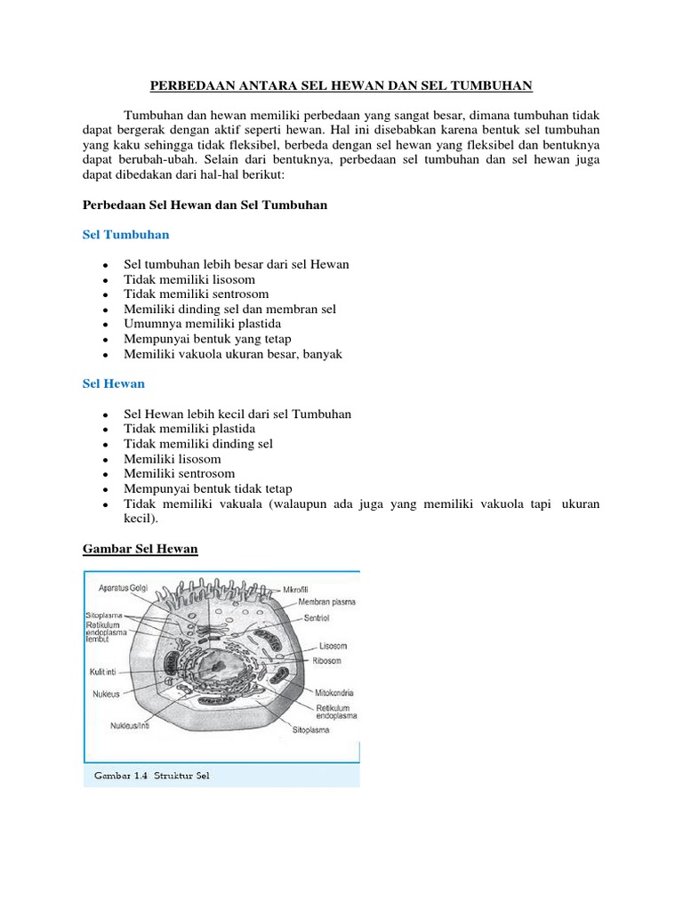 Struktur Sel  Hewan  Dan  Tumbuhan Beserta  Keterangannya 