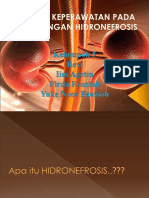 HIDRINEFROSIS.ppt