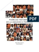 pueblos indígenas y amazónicos - PERU