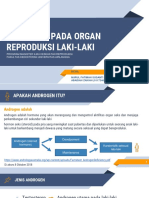 Androgen Pada Testis