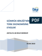 Gümrük Birliğinin Türk Ekonomisine Etkileri - Antalya AB Bilgi Merkezi PDF