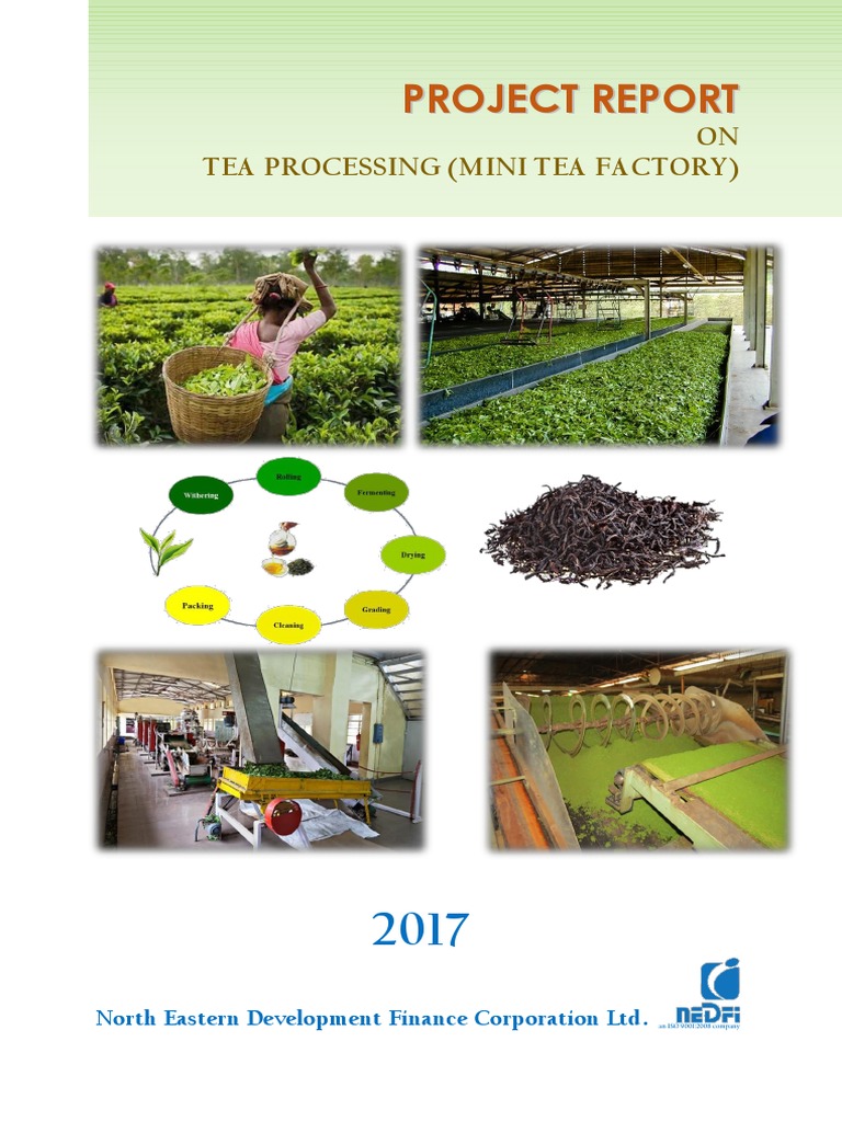 Tea Processing | Download Free PDF | Expense | Loans