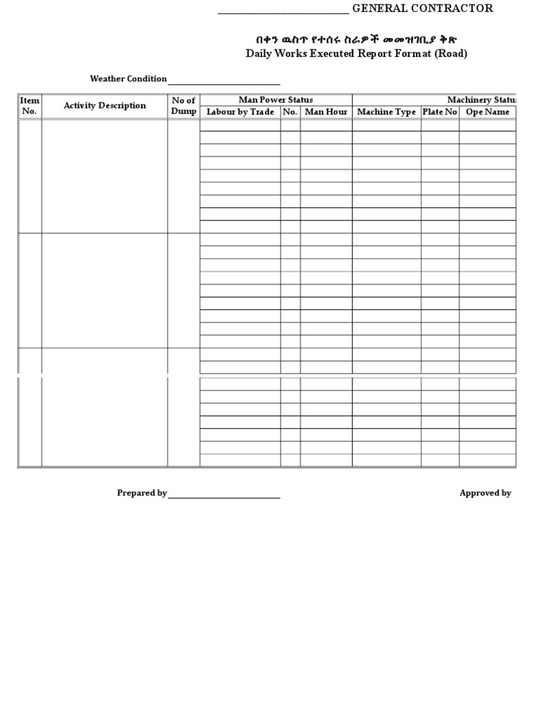 3.10 Daily Works Executed Report Format | PDF | Business