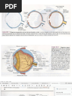 Deed of Sale of Motor Vehicle With Assumption of Mortgage 