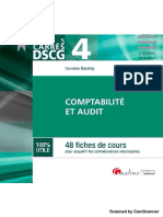 DSCG 4 Comptabilité Et Audit 2016-2017 PDF
